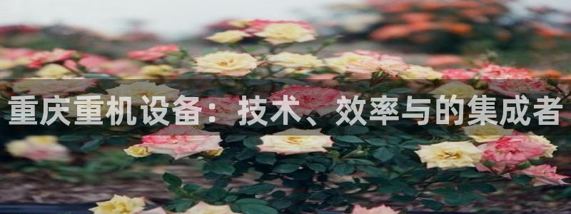 天宏娱乐视频