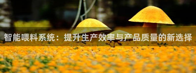 天宏娱乐魂师对决