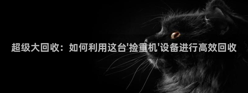 天亿娱乐宏发团队成员