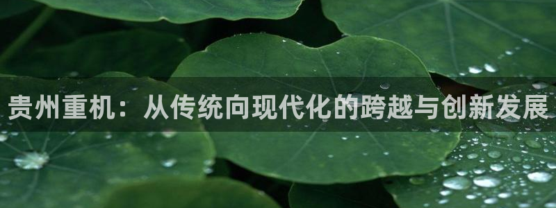 天宏娱乐何33300