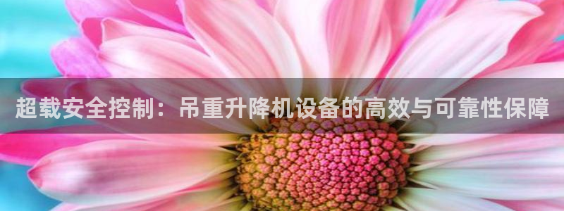 天宏娱乐直播团队名单