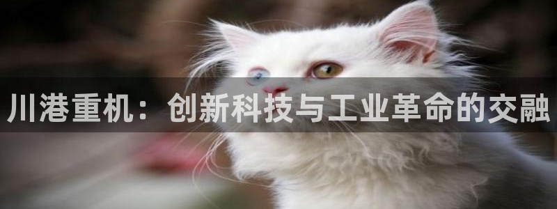 天宏娱乐老男孩团队