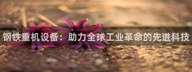 河源天宏娱乐店：钢铁重机设备：助力全球工业革命的先进科技