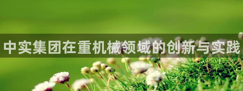天宏娱乐军叔：中实集团在重机械领域的创新与实践