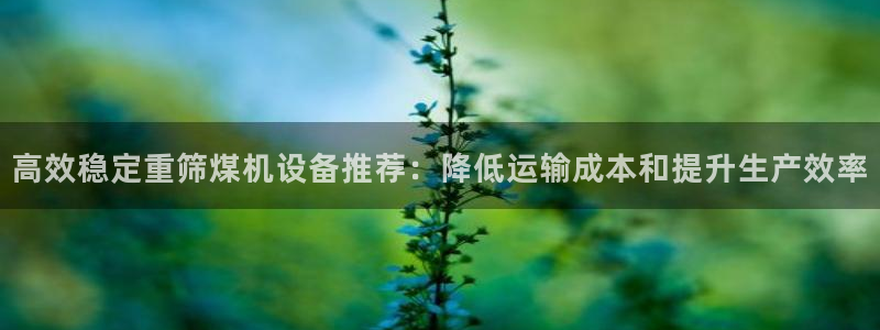 天宏娱乐董事长简历