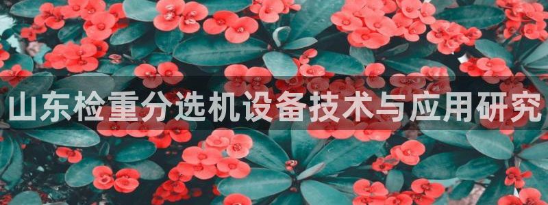 天宏娱乐直播间在哪：山东检重分选机设备技术与应用研究