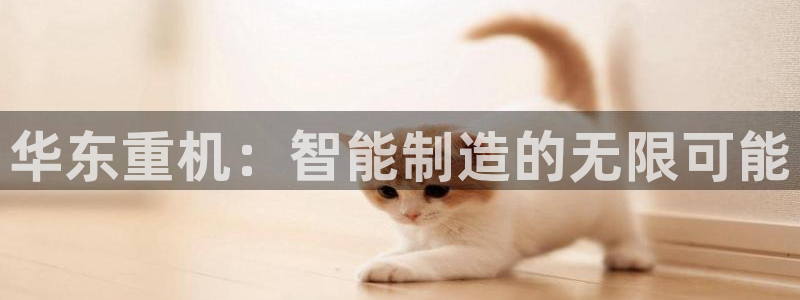 天宏娱乐直播怎么样：华东重机：智能制造的无限可能