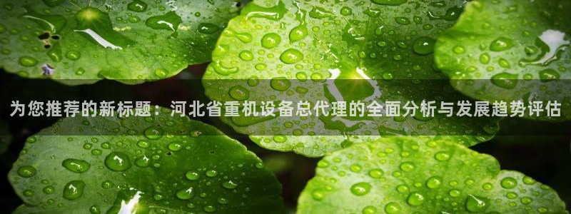 天宏娱乐老男孩董叔：为您推荐的新标题：河北省重机设备总代理的