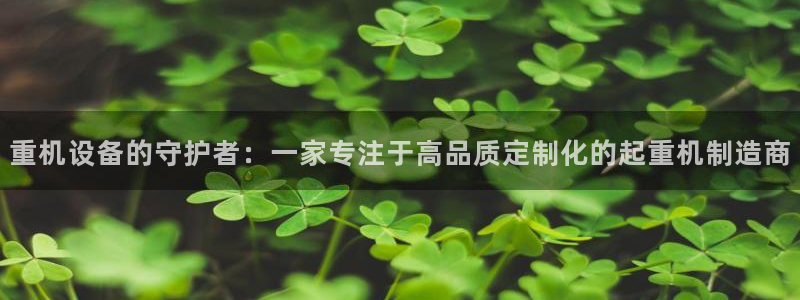 天宏娱乐何33300：重机设备的守护者：一家专注于高品质定制
