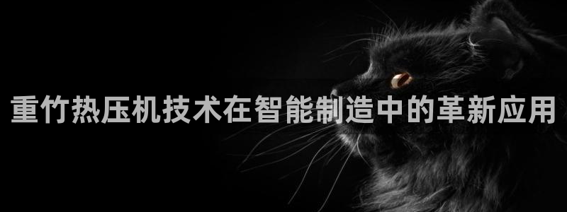 天宏娱乐怎样赚钱的