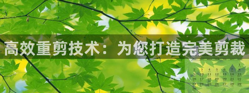 天宏娱乐指挥官