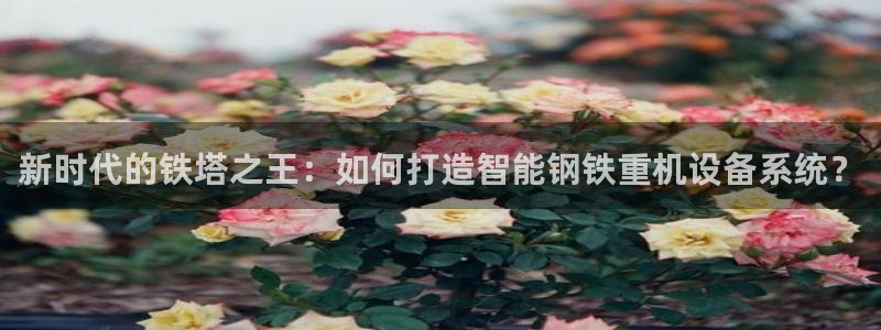 天宏娱乐团购：新时代的铁塔之王：如何打造智能钢铁重机设备系统
