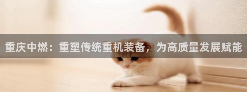 天宏娱乐 直播间在哪