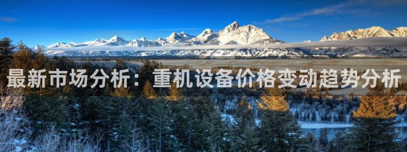 天宏娱乐天跃娱乐：最新市场分析：重机设备价格变动趋势分析