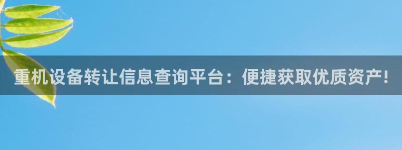 天宏娱乐是干嘛的啊：重机设备转让信息查询平台：便捷获取优质资