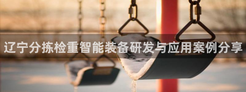 天宏娱乐广西吴叔：辽宁分拣检重智能装备研发与应用案例分享