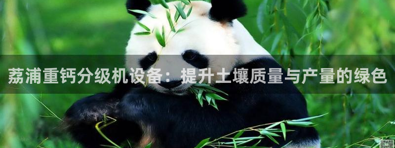 天宏娱乐指挥官：荔浦重钙分级机设备：提升土壤质量与产量的绿色