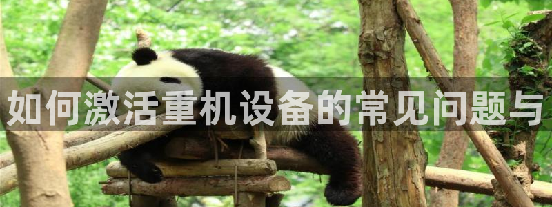 天宏娱乐2000：如何激活重机设备的常见问题与