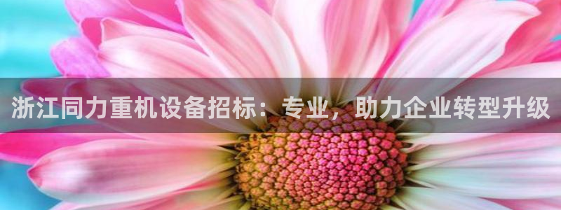 天宏娱乐32937股东：浙江同力重机设备招标：专业，助力企业