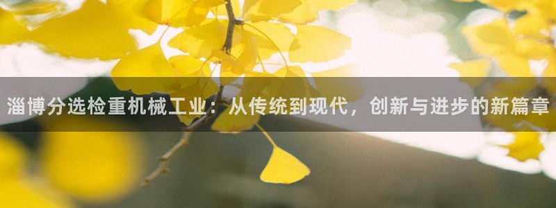 天宏娱乐i 判官：淄博分选检重机械工业：从传统到现代，创新与