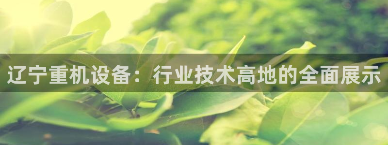天宏娱乐集团代理：辽宁重机设备：行业技术高地的全面展示