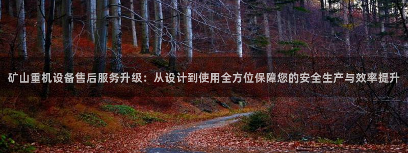 天宏娱乐河源：矿山重机设备售后服务升级：从设计到使用全方位保