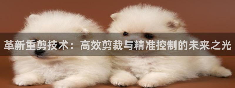 天宏娱乐魏叔：革新重剪技术：高效剪裁与精准控制的未来之光