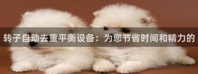 天宏娱乐豆豆：转子自动去重平衡设备：为您节省时间和精力的