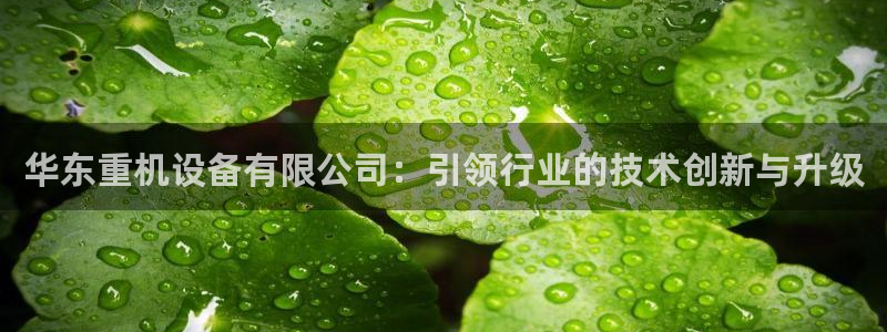 天宏娱乐正规吗1720 com：华东重机设备有限公司：引领行