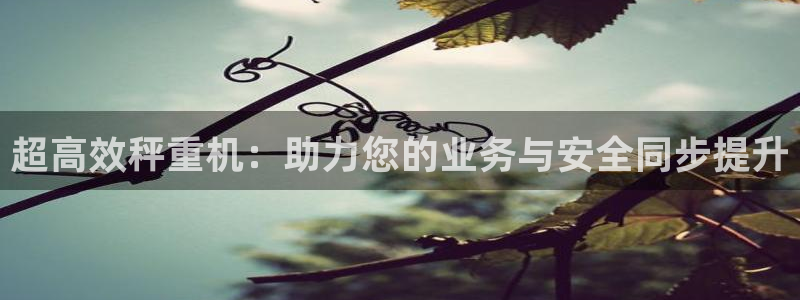 天宏集团黑骑士娱乐