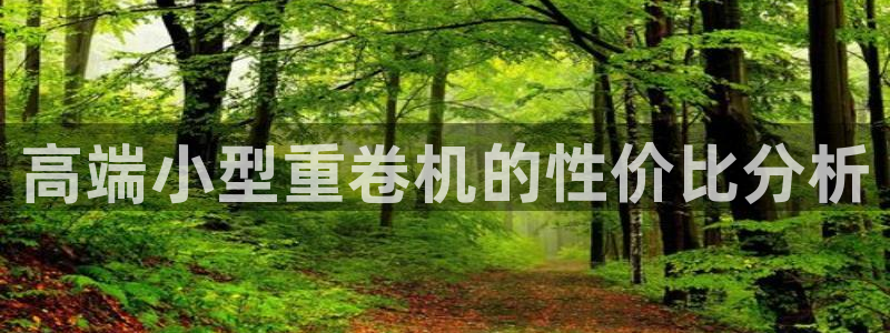 天宏娱乐在线播放：高端小型重卷机的性价比分析