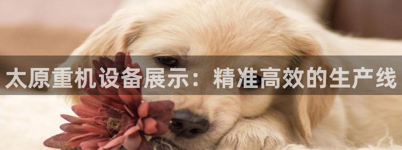 天宏娱乐直播团：太原重机设备展示：精准高效的生产线