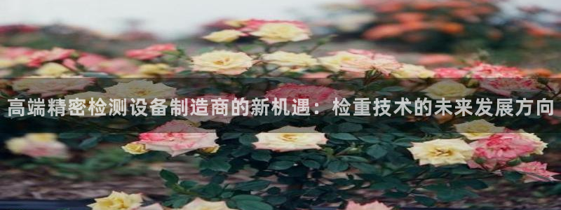 天宏娱乐探索无限空间：高端精密检测设备制造商的新机遇：检重技
