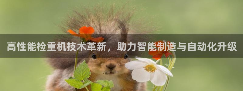 西安天宏娱乐直播间