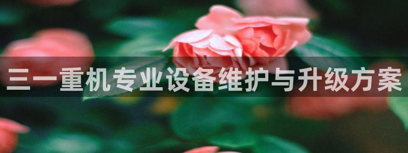 天宏娱乐浗v33300