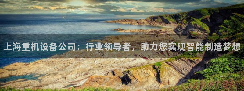 天宏娱乐关叔：上海重机设备公司：行业领导者，助力您实现智能制