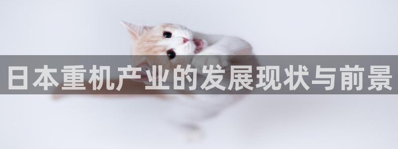 天宏娱乐是干嘛的公司