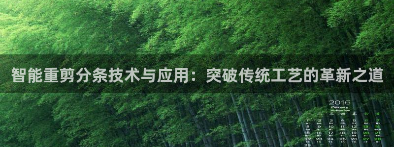 天宏娱乐22956叩c：智能重剪分条技术与应用：突破传统工艺
