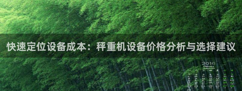 天宏娱乐传媒旗下艺人：快速定位设备成本：秤重机设备价格分析与