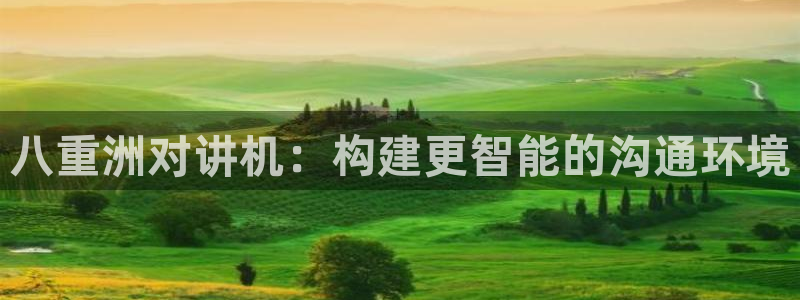 天宏娱乐的秦叔