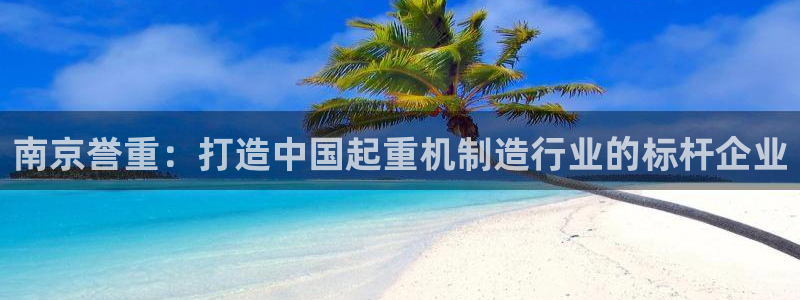 天宏娱乐李剑：南京誉重：打造中国起重机制造行业的标杆企业