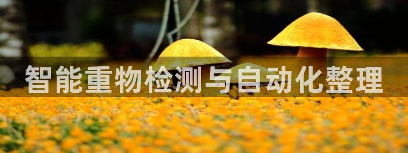 宏天娱乐会所怎么样：智能重物检测与自动化整理
