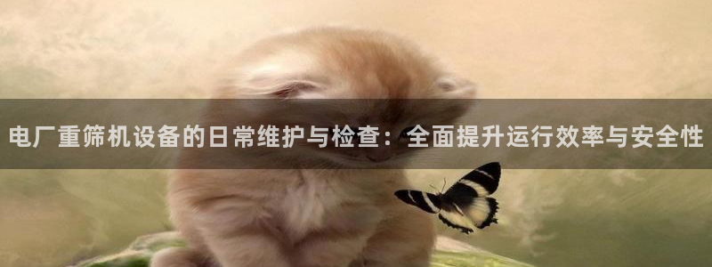 天宏娱乐湖北：电厂重筛机设备的日常维护与检查：全面提升运行效