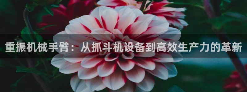 天宏娱乐·b主管管32937：重振机械手臂：从抓斗机设备到高