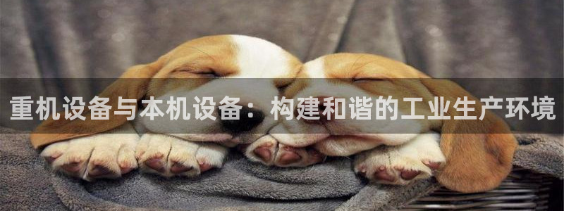 西安天宏娱乐团队