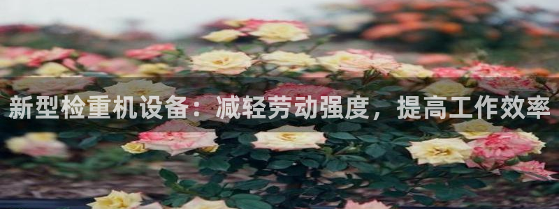 天宏娱乐林叔
