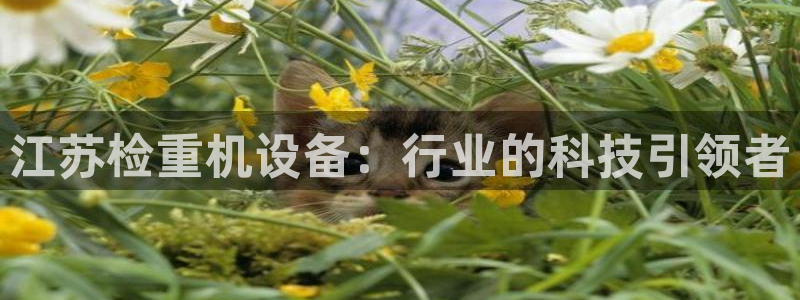天宏娱乐平台下载