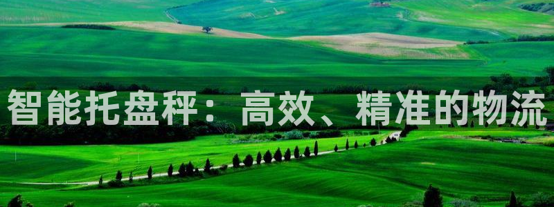 天宏娱乐天府：智能托盘秤：高效、精准的物流