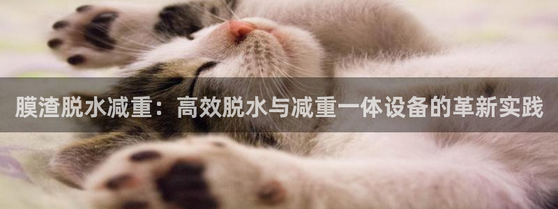 天宏娱乐小号怎么玩的：膜渣脱水减重：高效脱水与减重一体设备的