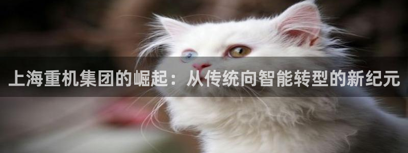 天宏娱乐龙叔：上海重机集团的崛起：从传统向智能转型的新纪元